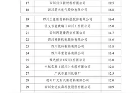 营收总额超1200亿元！四川德阳发布2024非公企业50强榜单图片