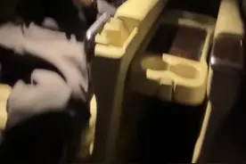 哈哈！韩德君儿子：希望爸爸一直打下去 这样他就不会回家打我了图片