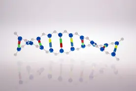 国家伦理指引禁止基因编辑用于人类生育 专访编撰者：在实验室研究和临床研究划出界限图片