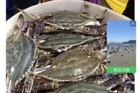 包鲜不包活？伏季开海后第一网梭子蟹来了，社区团购说保证新鲜却不保证活，原因是……图片