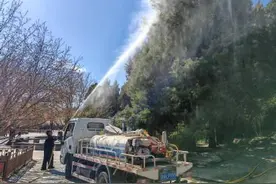 北京每日3次喷水降低花粉浓度图片