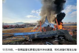 韩国客机撞墙起火事故中乘客国籍公布图片