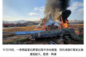 韩国客机撞墙起火事故中乘客国籍公布图片