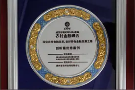 喜报！贵州农信绿色普惠信贷标准 荣获农村金融峰会创新篇优秀案例奖图片