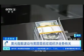 美元指数波动为何加剧？未来走势如何？专家分析→图片