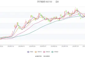 沃尔核材：2024年上半年净利润4.19亿元 同比增长43.04%图片