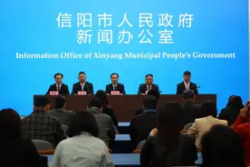 少量已达可采摘标准 2025信阳毛尖春茶开采新闻发布会召开图片