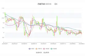 西藏珠峰：2024年上半年净利润1.28亿元 同比增长104.34%图片