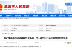 2024年山东省威海市流通领域电子电器、电工及材料产品质量抽查检验结果公布图片