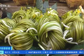 金雀花、海菜花、棠梨花…来云南昆明菜市场，寻舌尖上的“春”味！图片