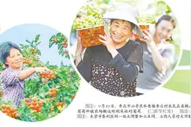 又是一年秋收时！齐鲁大地，谷熟、果香……图片