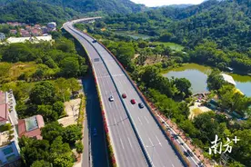 图集｜花路相伴，在冬日邂逅中山最美公路图片
