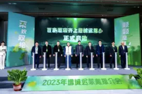 增城举办迟菜心推介会，广东知名酒店组团赴增城买菜图片