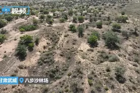 一带一路上的河西走廊｜文旅融合 “天马故里”武威焕发新活力图片
