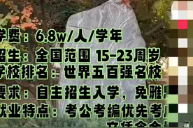 调查|“中外合办”层出不穷，“低分逆袭”的升学路走得通吗图片