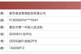 新华基金新增两则恢复执行信息，执行标的合计2亿余元图片