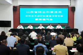 山西多措并举保护古树名木 让 “活文物” 焕发新光彩图片