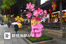 大树变“花束”！就在福州三坊七巷图片