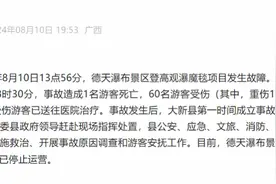 香港中旅旗下德天瀑布景区因事故停运，去年营收超2亿元图片