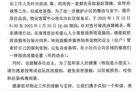 重庆一小区发通知捕杀流浪猫？物业回应：表述欠缺考虑，已撤回通知图片