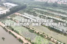 亩产收入最高达万元！济南本地小龙虾养殖户探索“鹅藕虾混养”新模式图片