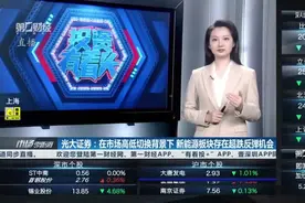 光大证券：在市场高低切换背景下 新能源板块存在超跌反弹机会｜有看投视频封面