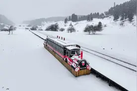 春日里赏雪花！重庆仙女山迎“鹅毛春雪”，雪花与春花共舞太梦幻图片