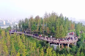 海拔不高，但山很多……长三角人自古以来爱造山图片
