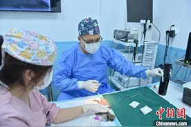 中国内地异宠医疗服务渐兴：商机大亦待规范图片