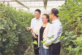 解码仪征农商银行“抗逆”韧性之秘图片