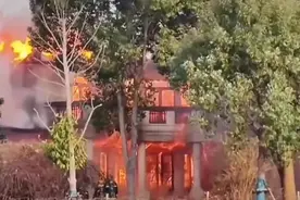 上海松江一别墅起火图片