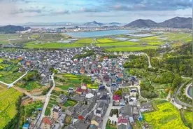 舟山这个“时尚乡村”3.0版本正更新！你去过吗？图片