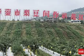四川广安2024年农业农村工作第二次大比武落幕  13个考点过堂图片