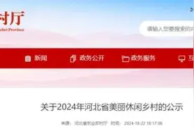 省级名单！张家口14个村上榜→下花园榜上有名图片