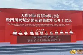 年吞吐货物量计划100万吨 四川又一向西物流节点项目开工建设图片