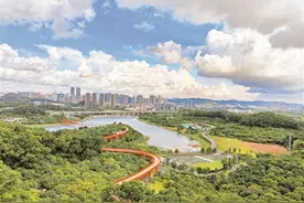 光明街道：山水绕城花满树 高楼林立路纵横图片