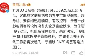 充电宝冒烟致航班备降， 为何充电宝能“上飞机”却不能使用？图片