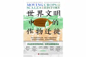 橡胶景观：一个典型的暴力故事图片