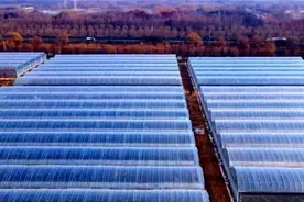 徐州市睢宁县：精准化、科学化种植养殖是基础 也是农业现代化的必经之路图片