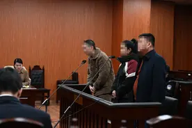 镇宅？辟邪？崇明首例非法买卖玳瑁标本案，判了！图片