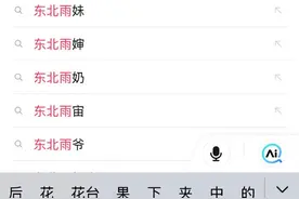 “东北雨姐”被禁言后多个高仿号组成“东北雨宙”，业内人士：多是主播蹭流量图片