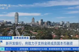 新开发银行：将致力于支持金砖成员国本币融资图片