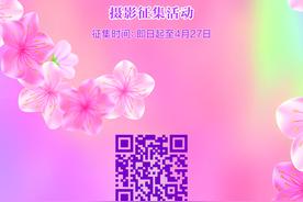 错过等一年，陶然亭海棠春花文化节摄影征集活动等你来图片
