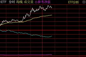 跨境ETF盘中活跃，沙特ETF午后一度涨超6%图片