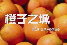 创新实践 | 这座“橙子之城”，香飘29个国家，咋做到的？图片
