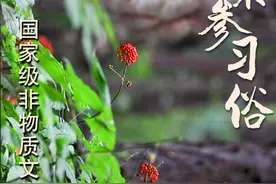 林海参乡·生态白山 | 了不起的国家级非遗！采参人的“仪式感”→图片