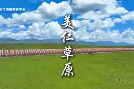 美好合作丨微视频：美仁草原图片