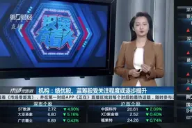 机构：绩优股、蓝筹股受关注程度或逐步提升| 有看投视频封面