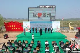 游千亩海棠园品千年运河文化 河北景县推出系列春游场景图片