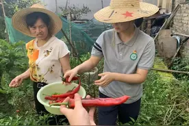 出发“趣”研学，上海长宁学子一路向南走入农家、走近大山图片
